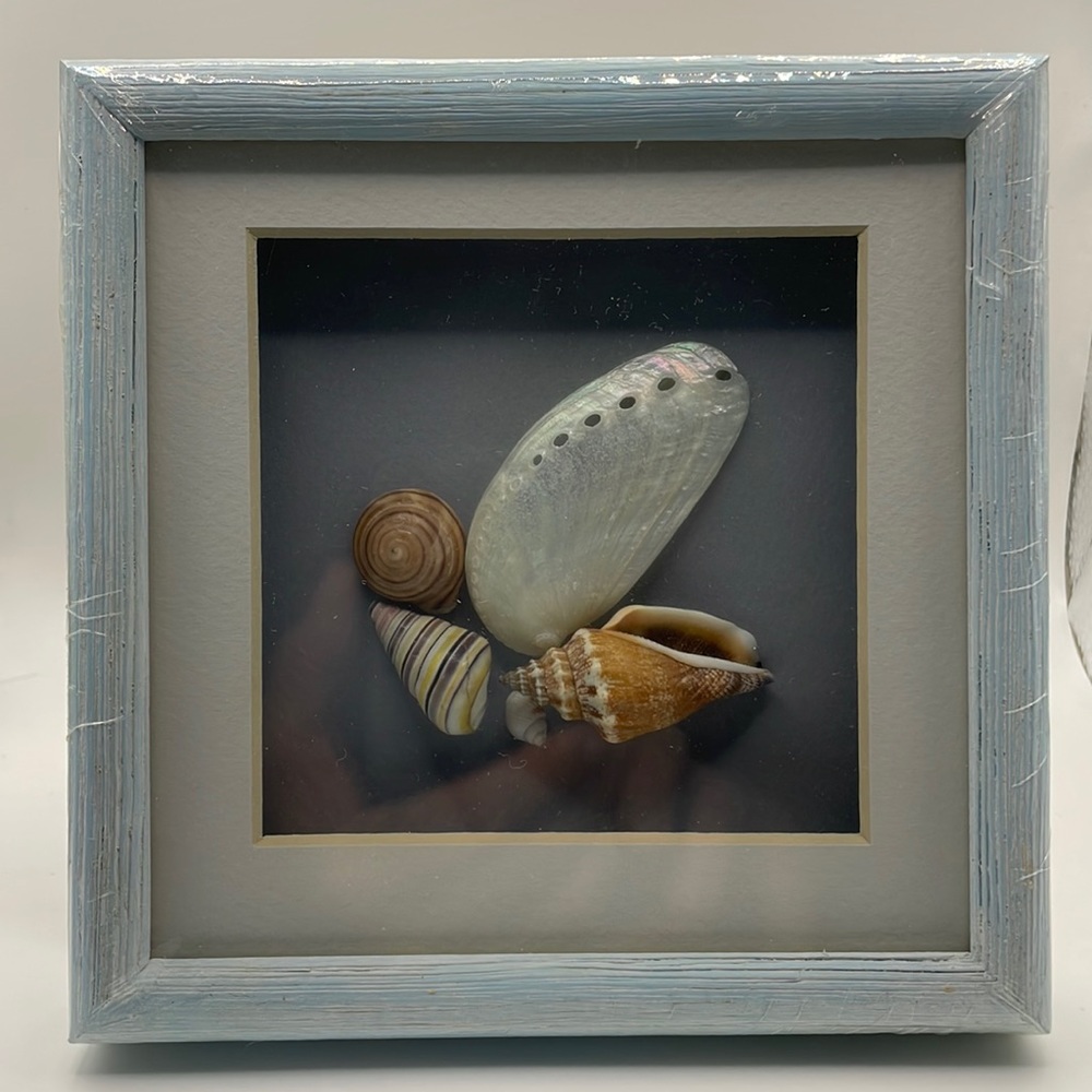 Shell Shadow Box Frame